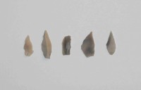 Auswahl von Feuersteingeräten des Mesolithikums